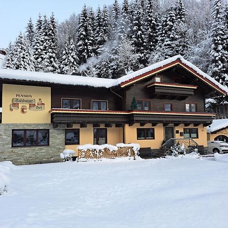Apartments Salzburgerhof Saalbach-Hinterglemm Esterno foto